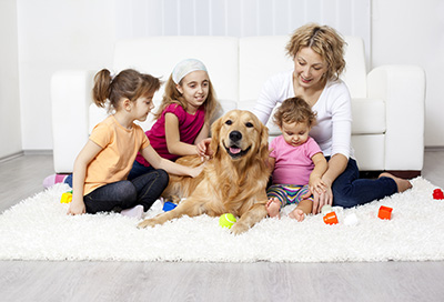 Are Children and Pets Affected by Cleaning Processes or Chemicals?